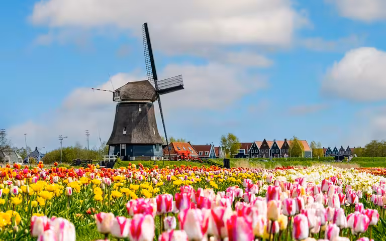 Hollands Erfgoed