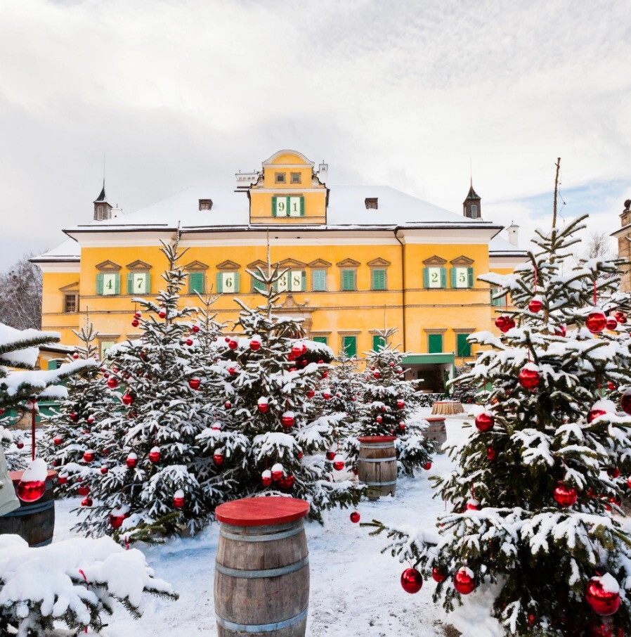 Adventreis Salzburgerland